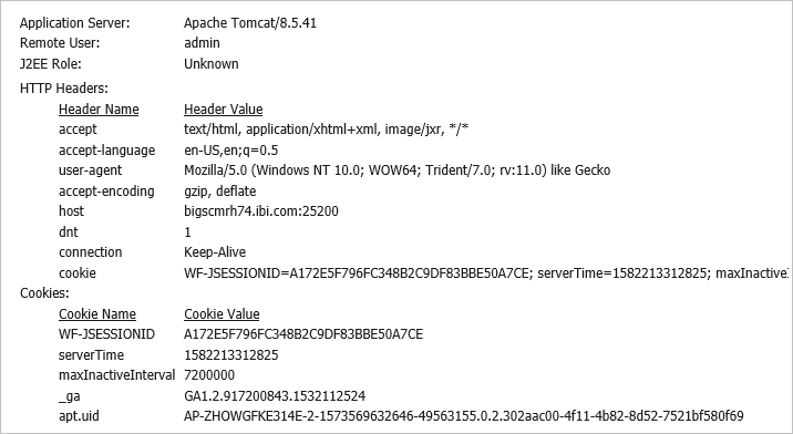 HTTP Request Headers and JVM Property Information